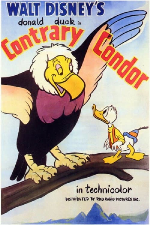 Poster for Contrary Condor