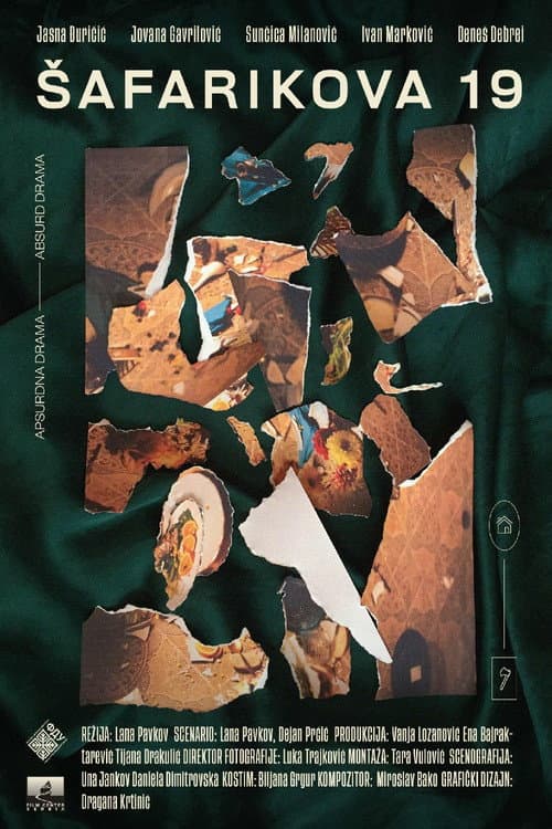 Poster for 19 Schaffarik Street