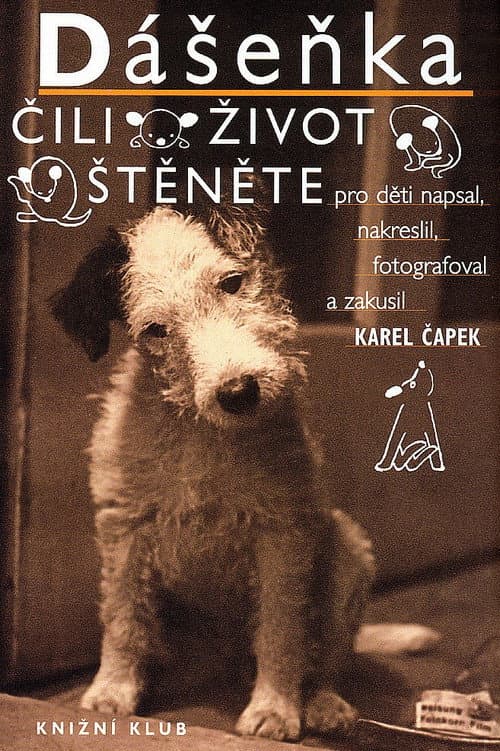 Poster for Dášeňka