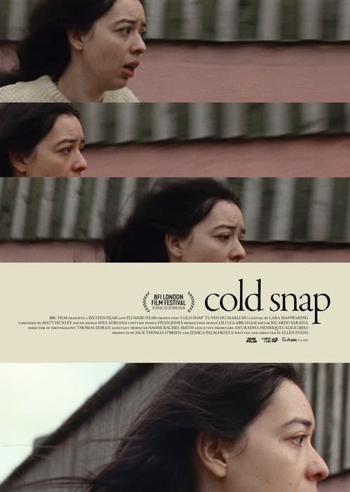 Poster for Cold Snap