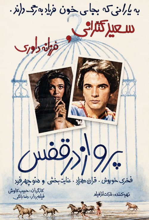 Poster for Flying in a Cage