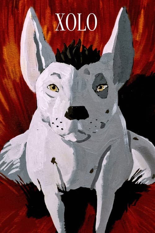 Poster for XOLO