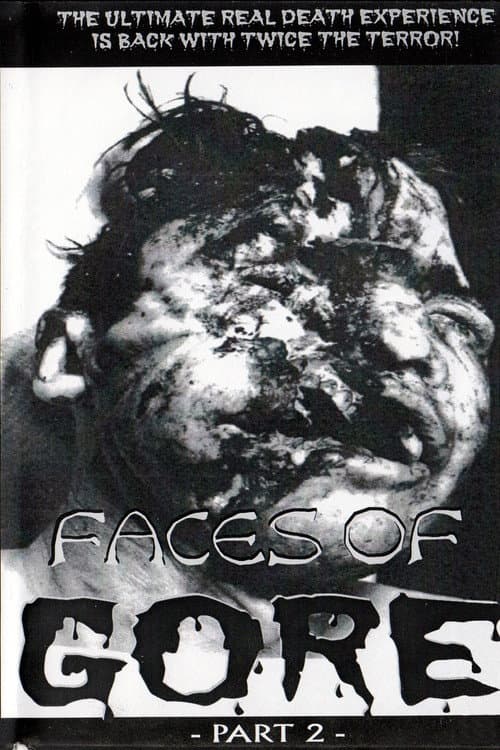 Poster for Faces Of Gore 2