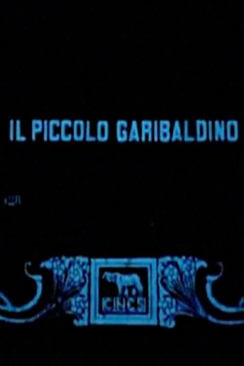 Poster for The Garibaldi Boy
