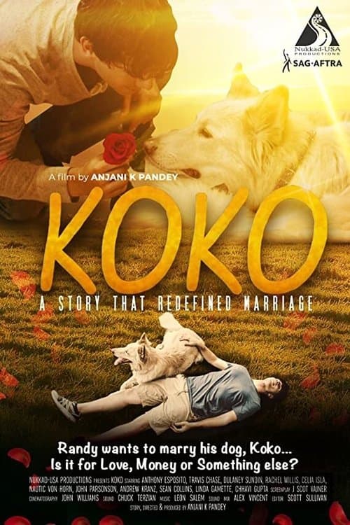 Poster for Koko