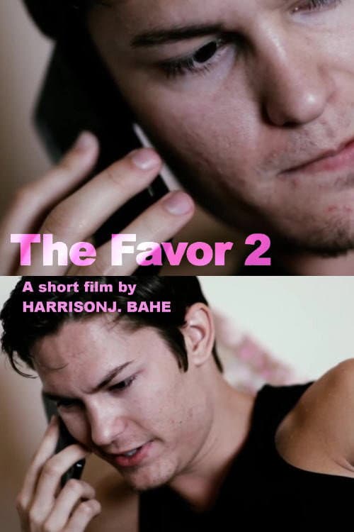 Poster for The Favor 2