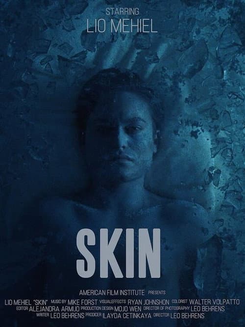 Poster for Skin