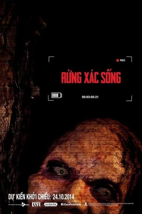 Poster for The Lost Tour: Vietnam