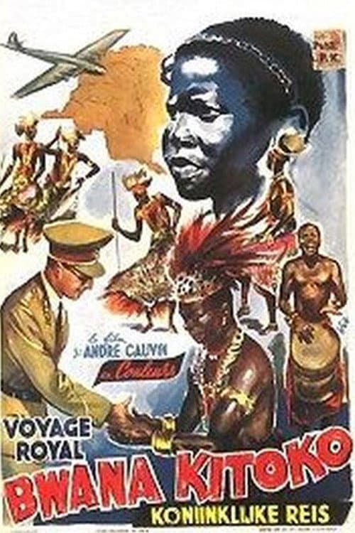 Poster for Bwana Kitoko