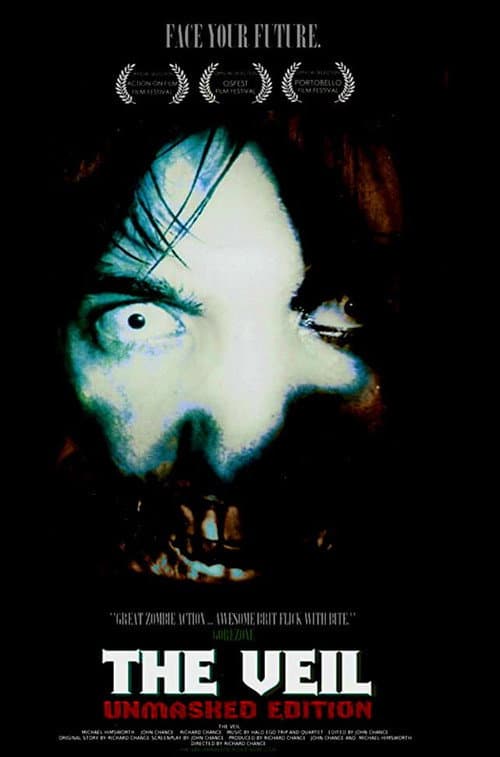 Poster for The Veil