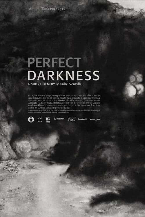 Poster for Perfect Darkness