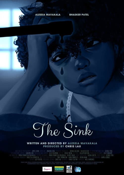 Poster for The Sink