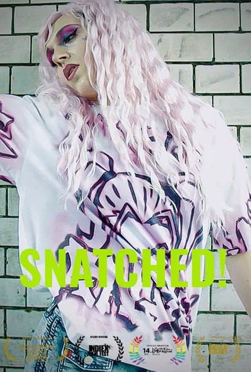 Poster for Snatched!