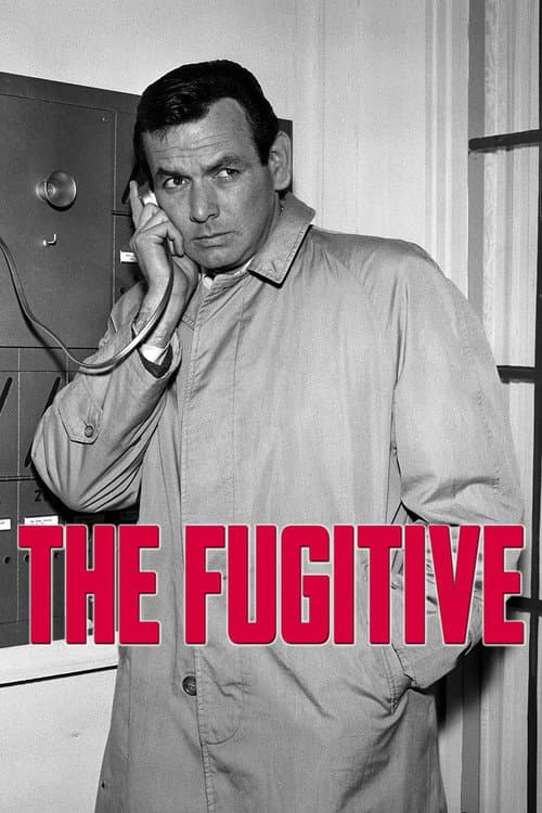 Poster for The Fugitive