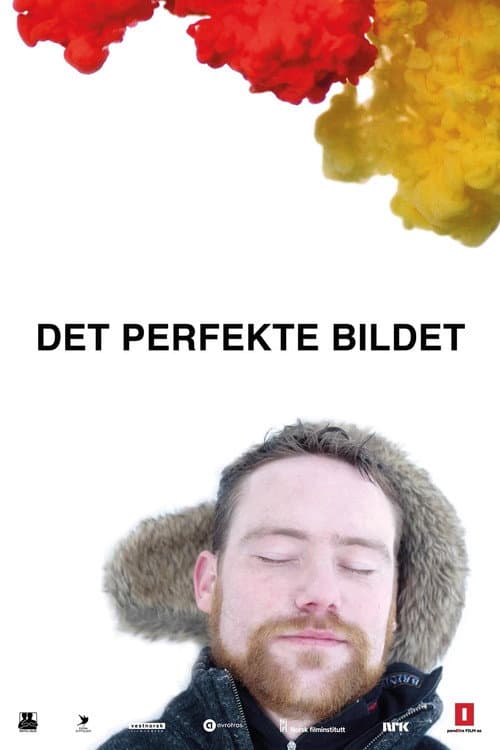 Poster for Det perfekte bildet