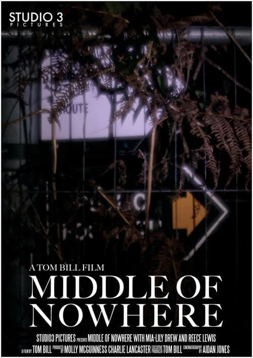 Poster for Middle of Nowhere