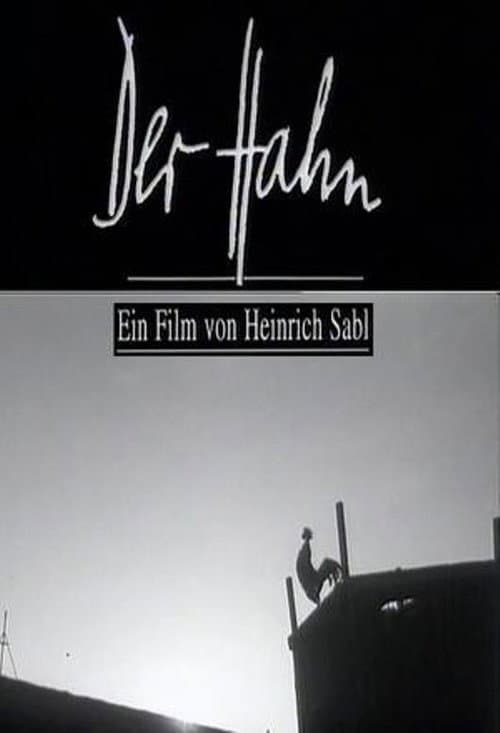 Poster for The Cock
