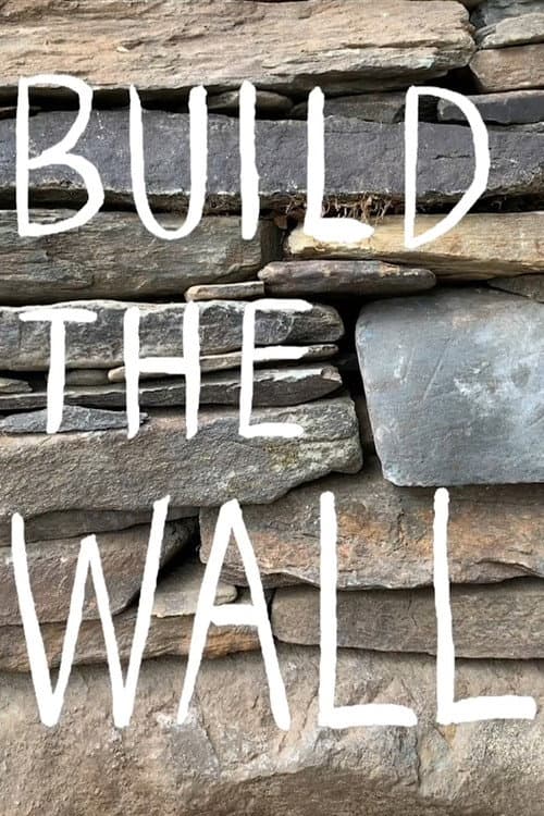 Poster for Build the Wall