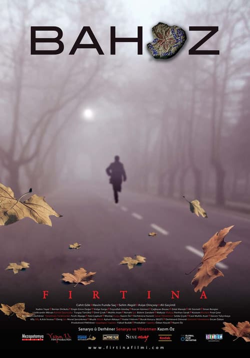 Poster for The Storm