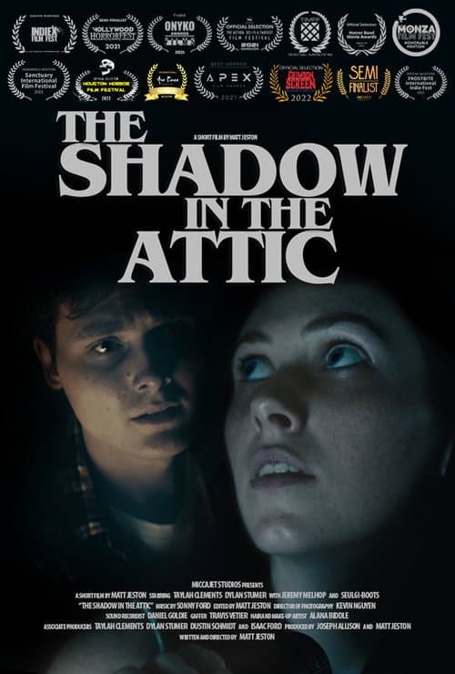 Poster for The Shadow in the Attic