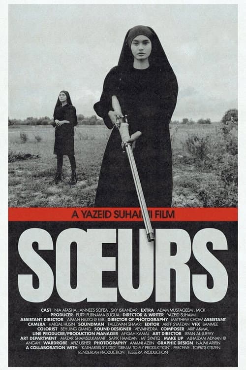 Poster for The Sisters