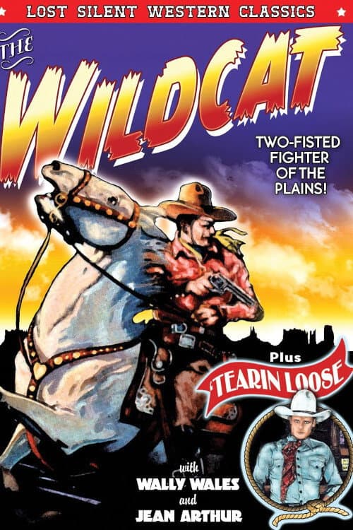 Poster for Tearin' Loose