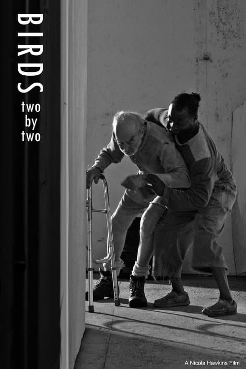 Poster for Birds Two by Two