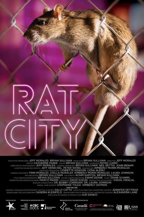 Poster for Rat City