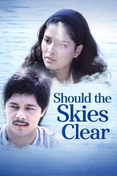 Poster for Should the Skies Clear
