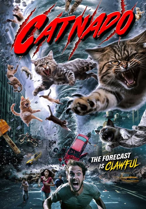 Poster for Catnado
