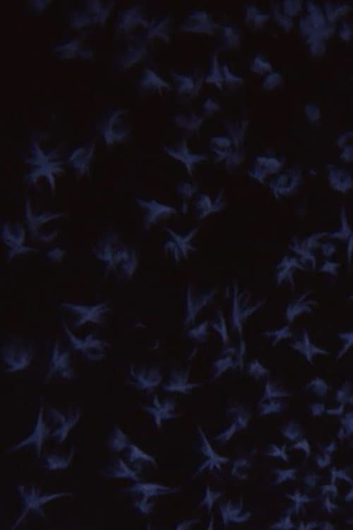Poster for Albedo 0.97