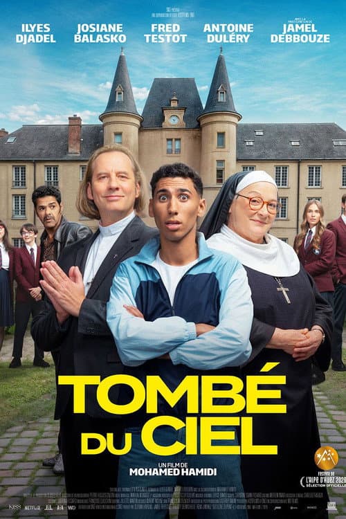 Poster for Tombé du ciel