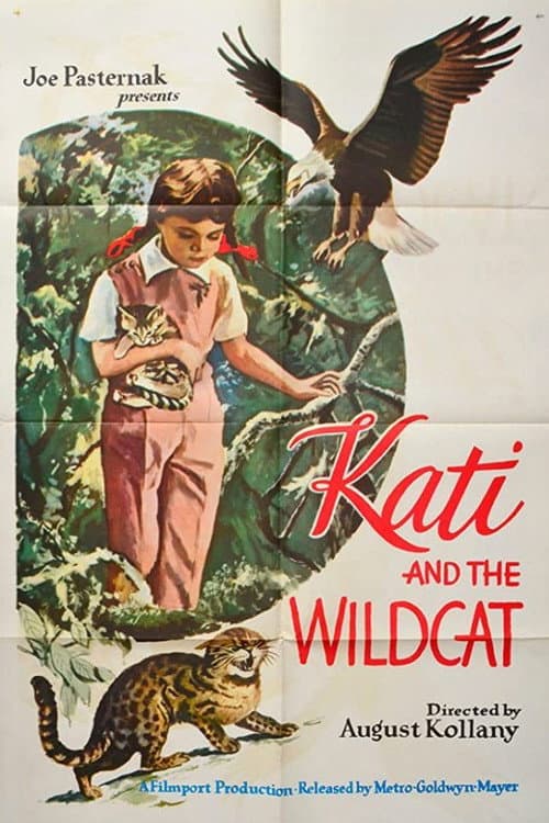 Poster for Kati és a vadmacska