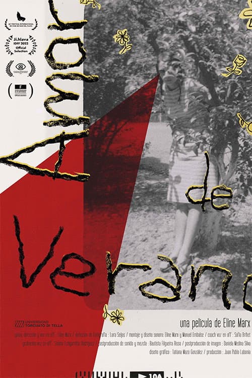 Poster for A Summer Love