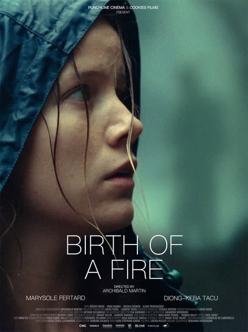 Poster for Birth of a Fire