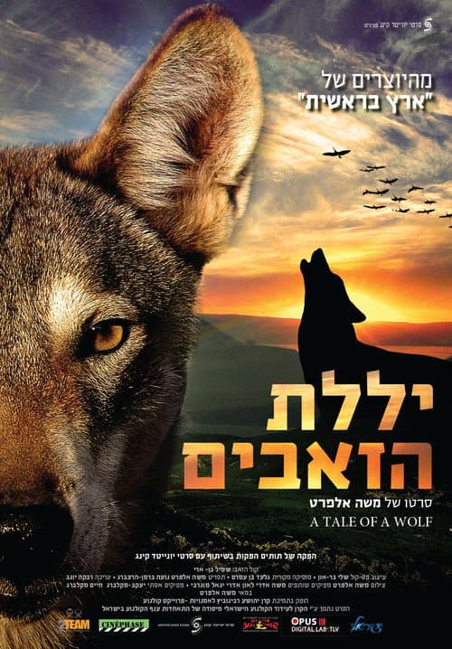 Poster for A Tale of a Wolf