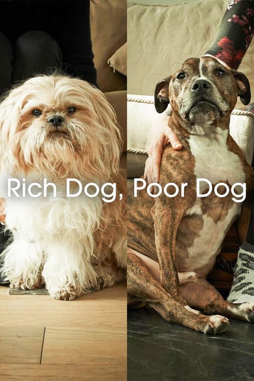 Poster for Rich Dog, Poor Dog