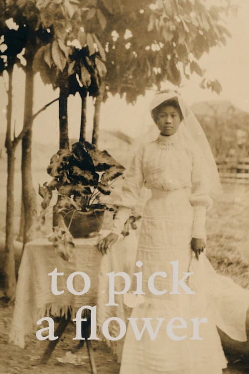 Poster for To Pick a Flower