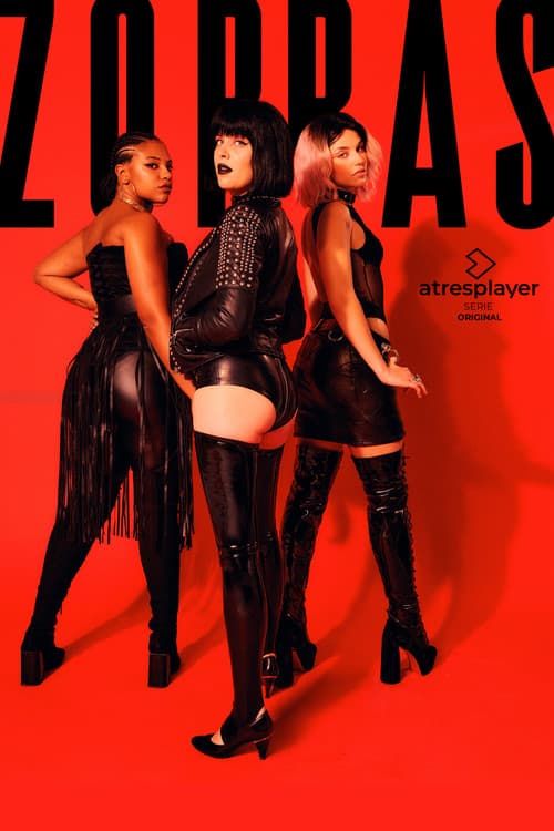 Poster for Zorras