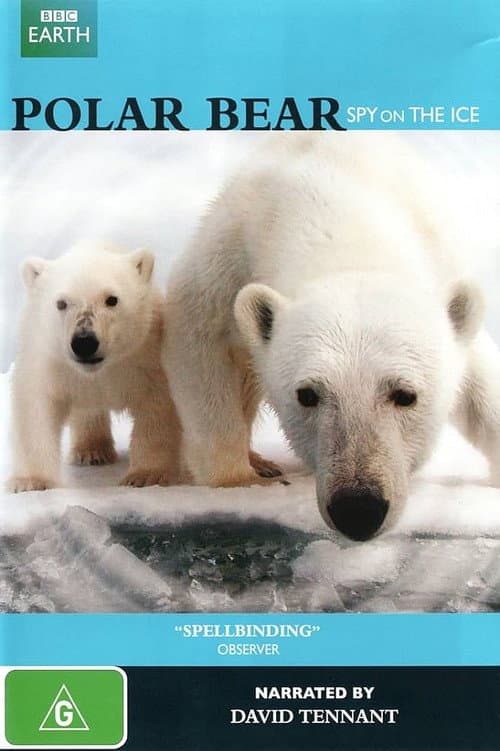 Poster for Polar Bear: Spy on the Ice