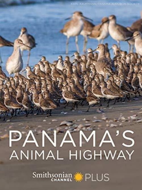 Poster for Panama's Animal Highway