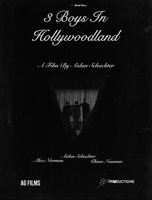 Poster for 3 Boys In Hollywoodland
