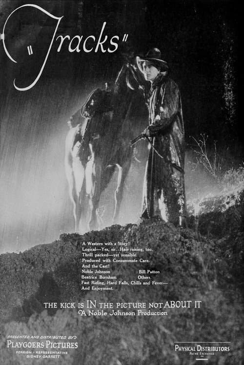 Poster for Tracks