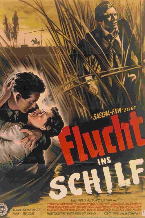 Poster for Brutality