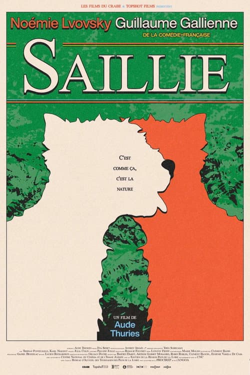 Poster for Saillie