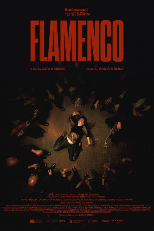 Poster for Flamenco