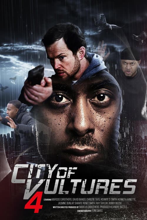 Poster for City of Vultures 4
