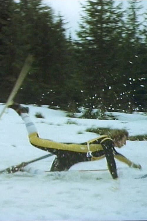 Poster for Nordic Combination