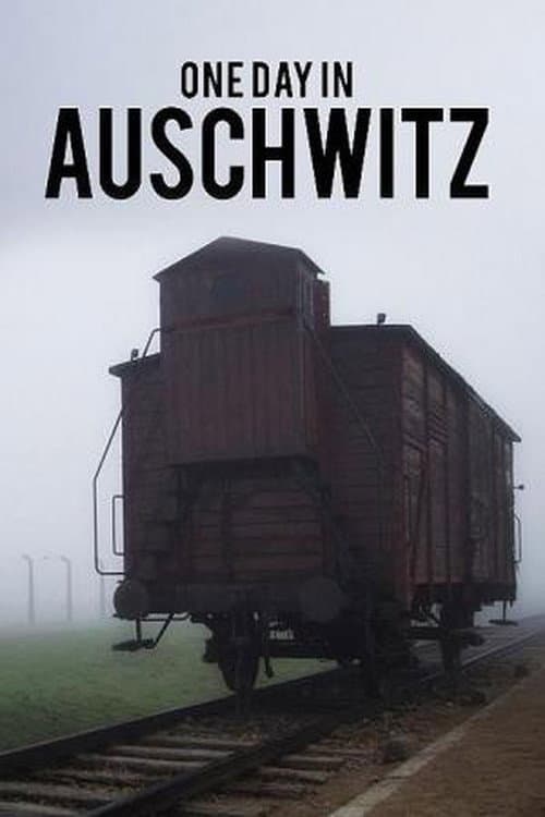 Poster for Auschwitz - One Day