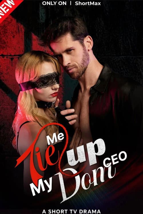 Poster for Tie Me Up, My Dom CEO